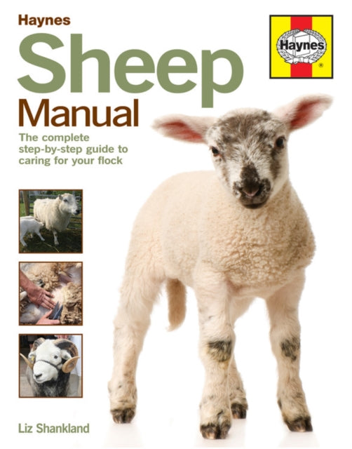 Sheep Manual: The complete step-by-step guide to caring for your flock