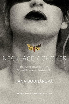 Necklace/Choker: then, meanwhile, now./a small novel in fragments/