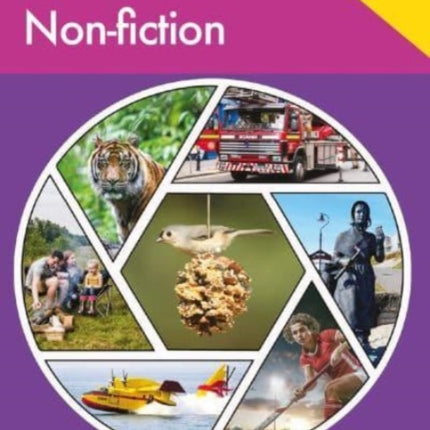 Developing Reading Comprehension Skills Year 2: Non-fiction