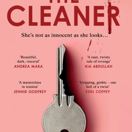 The Cleaner