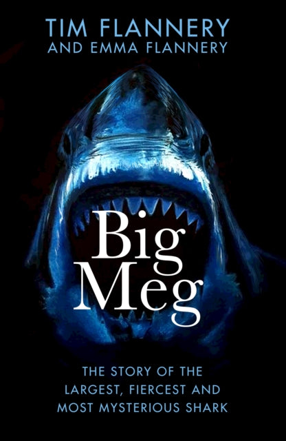 Big Meg: The Story of the Largest, Fiercest and Most Mysterious Shark