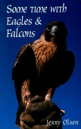 Some Time with Eagles  Falcons