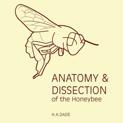 Anatomy and Dissection of the Honeybee