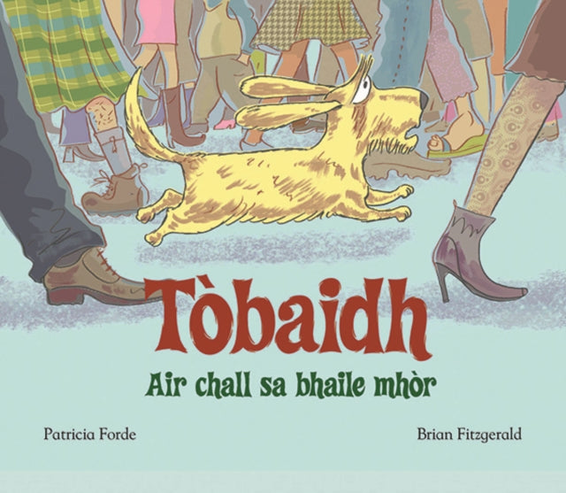 Tobaidh Air Chall Sa Bhaile Mhor