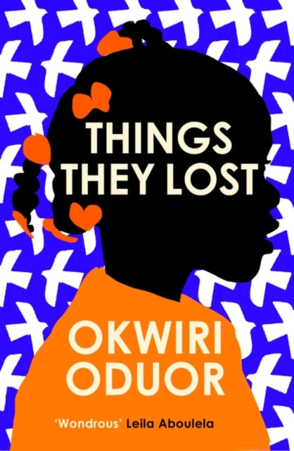 Things They Lost: Longlisted for the 2023 Dylan Thomas Prize