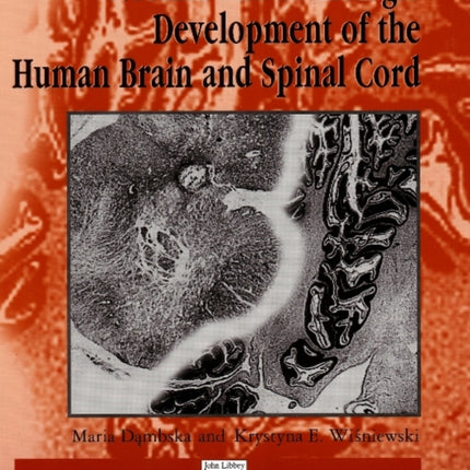 Normal & Pathologic Development of the Human Brain & Spinal Cord