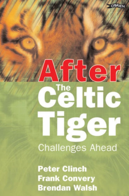 After the Celtic Tiger