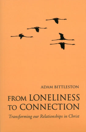 From Loneliness to Connection
