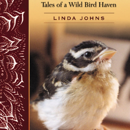 Birds of a Feather: Tales of a Wild Bird Haven