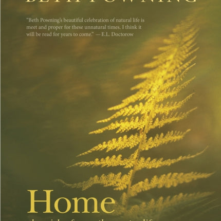 Home: Chronicle of a North Country Life