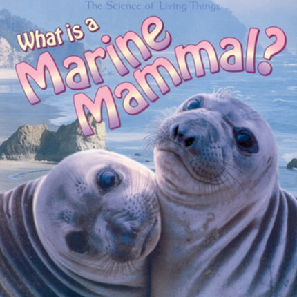 What Is A Marine Mammal