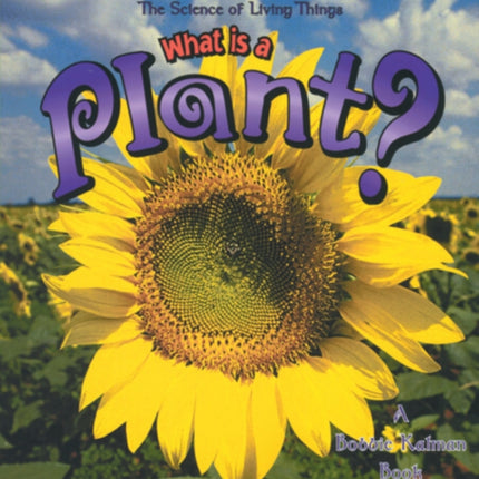 What Is A Plant The Science of Living Things