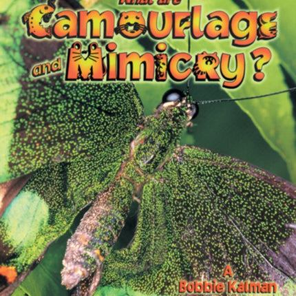 What Is Camouflage and Mimicry The Science of
