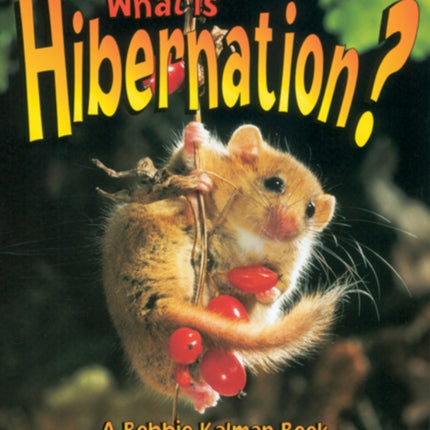 What is Hibernation Science of Living Things The