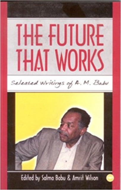 The Future That Works: Selected Writings of A M Babu