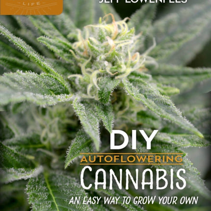 DIY Autoflowering Cannabis: An Easy Way to Grow Your Own