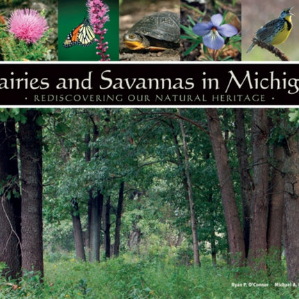 Prairies and Savannas in Michigan Rediscovering