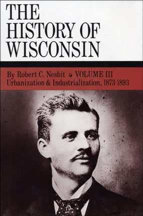 Urbanization  Industrialization 18731893 History
