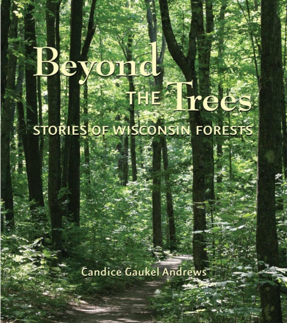 Beyond the Trees Stories of Wisconsin Forests