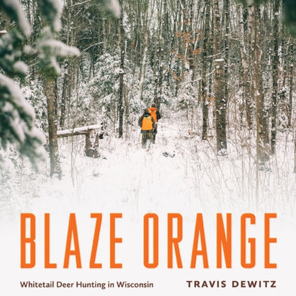 Blaze Orange Whitetail Deer Hunting in Wisconsin