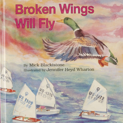 Broken Wings Will Fly