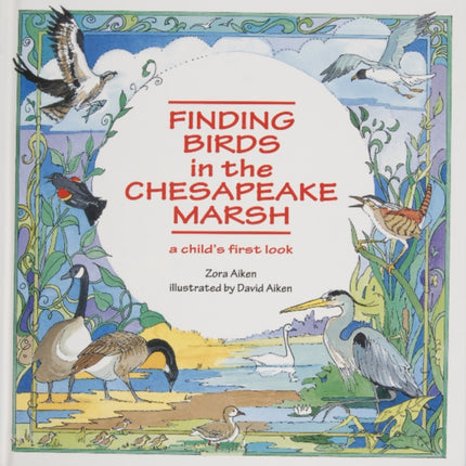 Finding Birds in the Chesapeake Marsh: A Child’s First Look