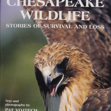 Chesapeake Wildlife: Stories of Survival and Loss