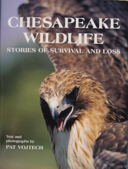 Chesapeake Wildlife: Stories of Survival and Loss