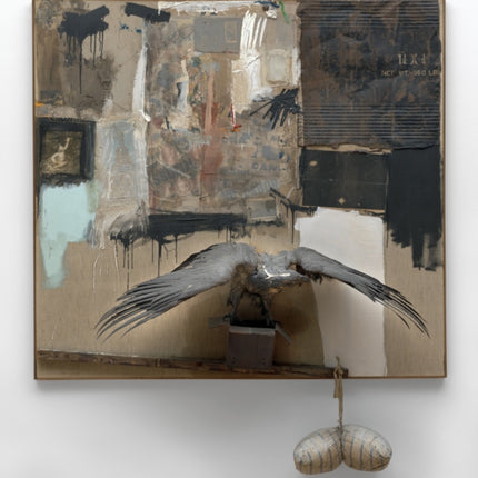 Rauschenberg: Canyon