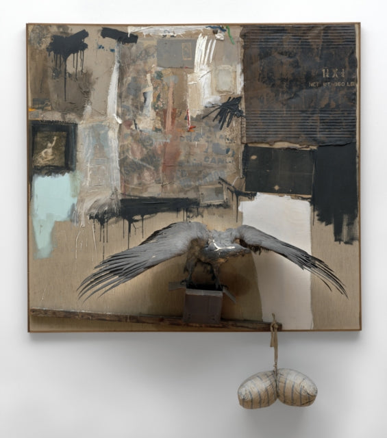 Rauschenberg: Canyon