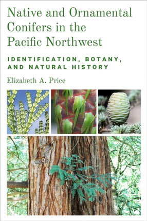 Native and Ornamental Conifers in the Pacific No  Identification Botany and Natural History