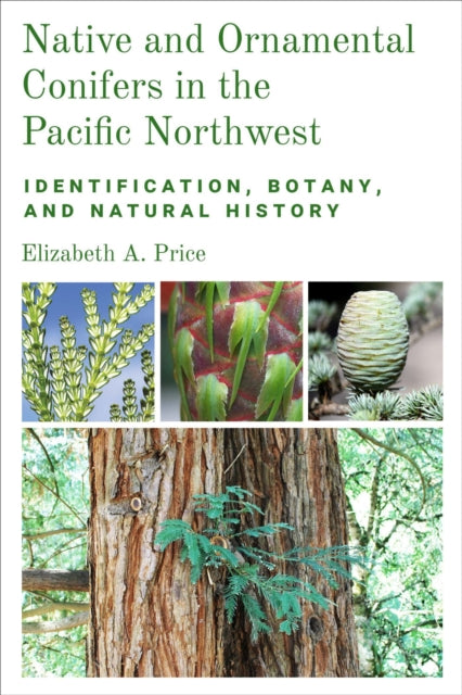 Native and Ornamental Conifers in the Pacific No  Identification Botany and Natural History