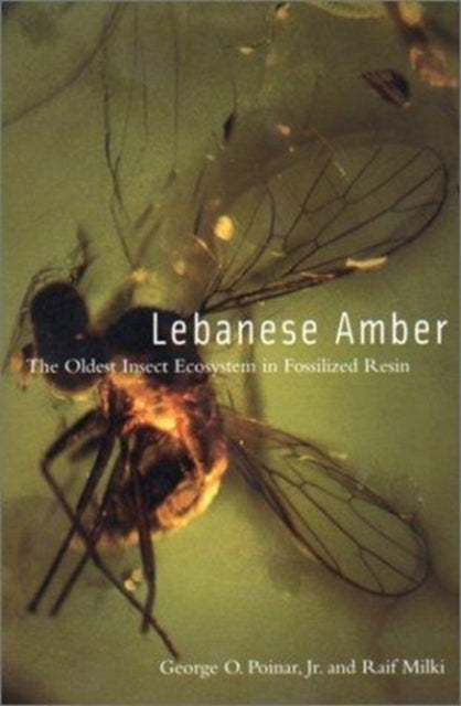 Lebanese Amber  The Oldest Insect Ecosystem in Fossilized Resin