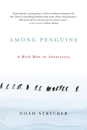 Among Penguins  A Bird Man in Antarctica