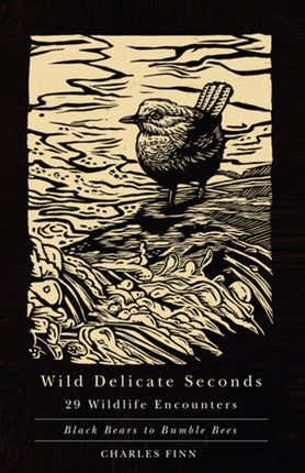 Wild Delicate Seconds  29 Wildlife Encounters