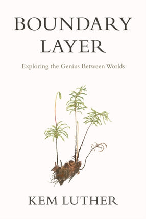 Boundary Layer  Exploring the Genius Between