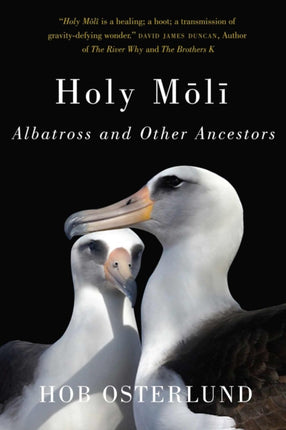 Holy Moli  Albatross and Other Ancestors