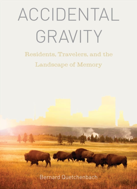 Accidental Gravity  Residents Travelers and the