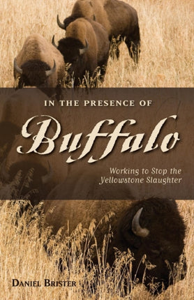 In the Presence of Buffalo Working to Stop the