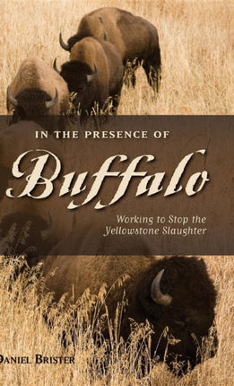 In the Presence of Buffalo Working to Stop the