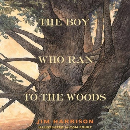 The Boy Who Ran to the Woods