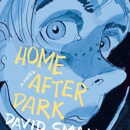 Home After Dark: A Novel