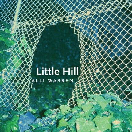 Little Hill