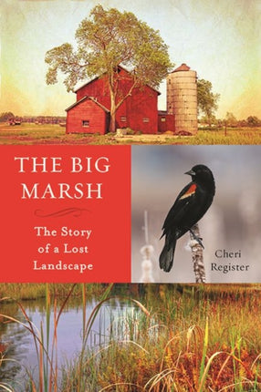 The Big Marsh The Story of a Lost Landscape