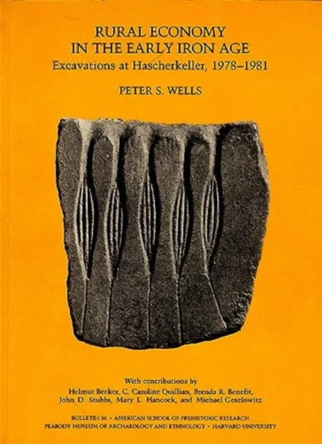 Rural Economy in the Early Iron Age: Excavations at Hascherkeller, 1978–1981