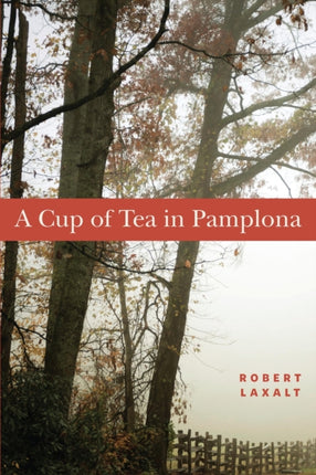 A Cup of Tea in Pamplona A Novella Basque Series