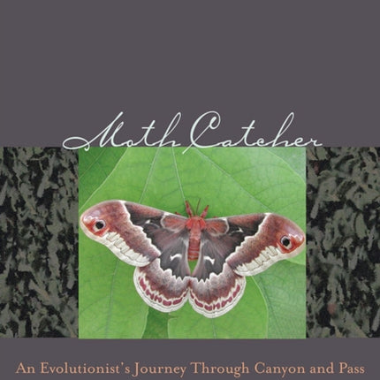 Moth Catcher  An Evolutionists Journey Through