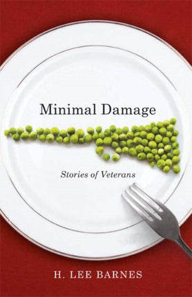 Minimal Damage  Stories of Veterans