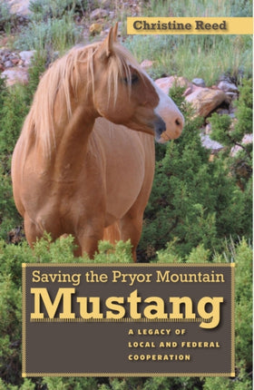 Saving the Pryor Mountain Mustang  A Legacy of