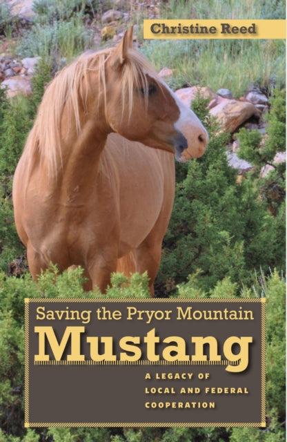 Saving the Pryor Mountain Mustang  A Legacy of